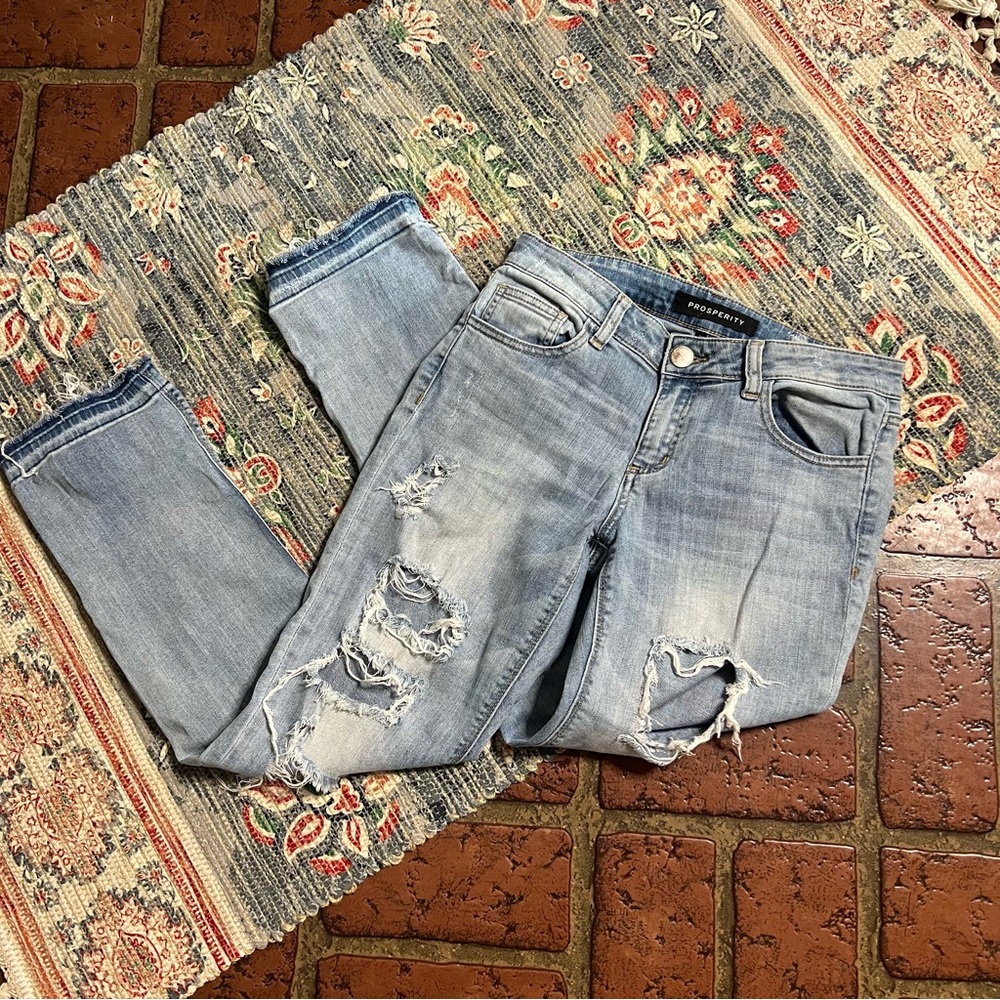 Prosperity factory distressed crop straight leg denim jeans